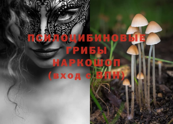 МДПВ Сосновка