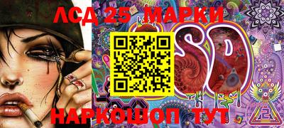 спайс Берёзовский