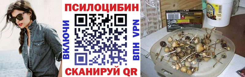 Псилоцибиновые грибы MAGIC MUSHROOMS  мориарти клад  Чайковский  закладка 
