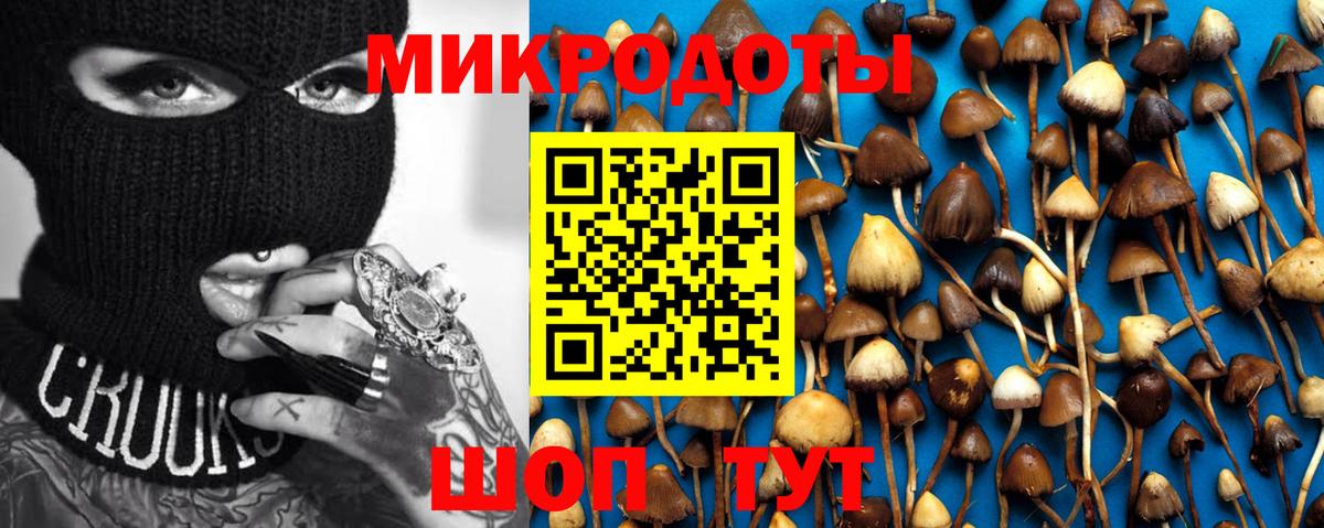 Чайковский  Псилоцибиновые грибы Magic Shrooms  Вход с VPN 